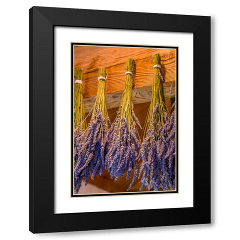 San Juan Island-Washington State-USA Bunches of lavender hung to dry Black Modern Wood Framed Art Print with Double Matting by Horton, Janet