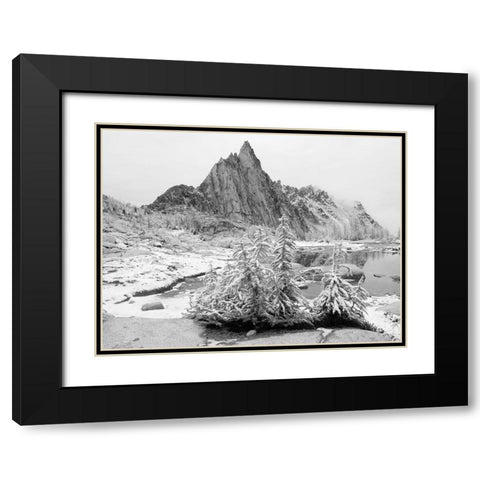 Alpine Lakes Wilderness-Enchantment Lakes-snow covered larch trees-with Prusik Peak Black Modern Wood Framed Art Print with Double Matting by Wild, Jamie and Judy
