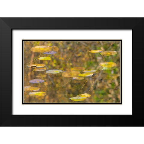 WA-Phantom Lake-Lilly Pads Black Modern Wood Framed Art Print with Double Matting by Wild, Jamie and Judy