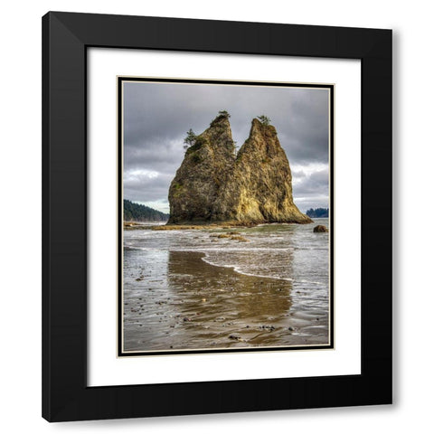 WA-Olympic National Park-Rialto Beach-Seastack and stormy sky Black Modern Wood Framed Art Print with Double Matting by Wild, Jamie and Judy