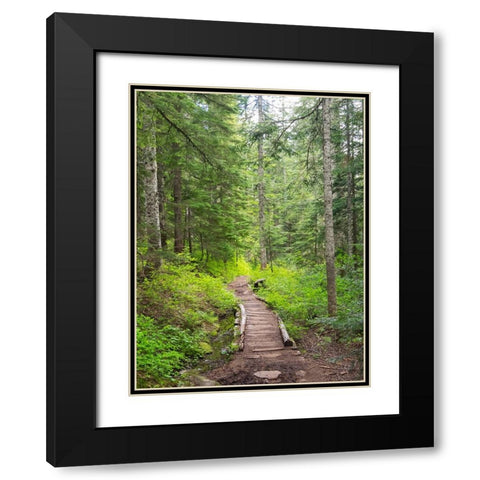 Washington State-Central Cascades-Trail to Pratt Ridge Black Modern Wood Framed Art Print with Double Matting by Wild, Jamie and Judy