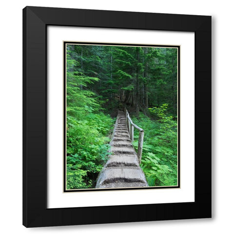 Washington State-Central Cascades-Old Fir tree bridge-on trail to Annette Lake Black Modern Wood Framed Art Print with Double Matting by Wild, Jamie and Judy