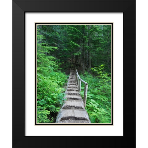 Washington State-Central Cascades-Old Fir tree bridge-on trail to Annette Lake Black Modern Wood Framed Art Print with Double Matting by Wild, Jamie and Judy
