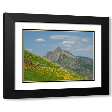Washington State-Central Cascades-Rampart Ridge-Alta Mountain and wildflowers Black Modern Wood Framed Art Print with Double Matting by Wild, Jamie and Judy