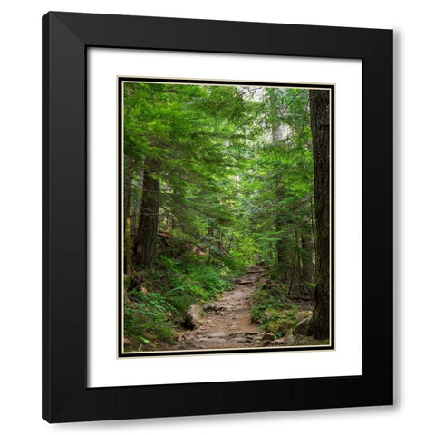Washington State-Central Cascades-Granite Mountain trail Black Modern Wood Framed Art Print with Double Matting by Wild, Jamie and Judy