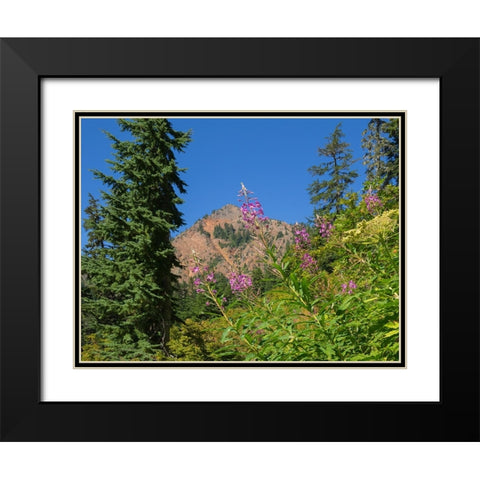 Washington State-Central Cascades-Fireweed and Red Mountain Black Modern Wood Framed Art Print with Double Matting by Wild, Jamie and Judy