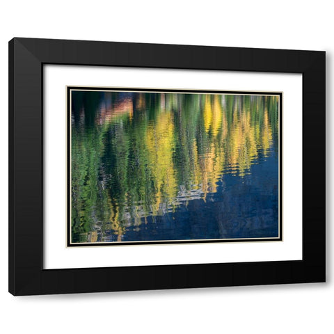 Washington State-North Cascades-Blue Lake-Larch tree reflections Black Modern Wood Framed Art Print with Double Matting by Wild, Jamie and Judy
