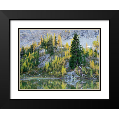 Washington State-North Cascades-Alpine Pond with Larch and Fir trees Black Modern Wood Framed Art Print with Double Matting by Wild, Jamie and Judy