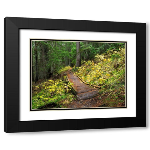 Washington State-Central Cascades Trail to Olallie Lake-old wooden section Black Modern Wood Framed Art Print with Double Matting by Wild, Jamie and Judy
