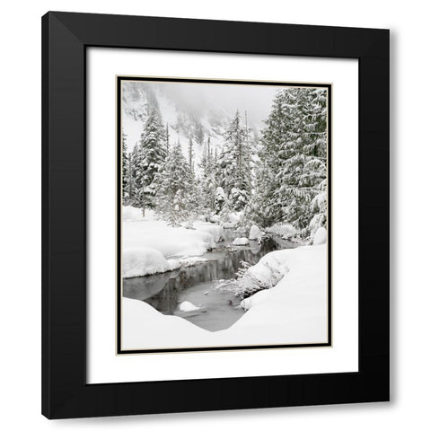 Washington State- Central Cascades. Granite Creek winter scene Black Modern Wood Framed Art Print with Double Matting by Wild, Jamie and Judy