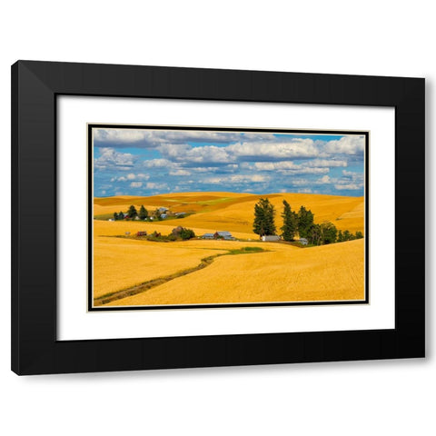 Clouds above farm house on wheat field-Palouse-eastern Washington State-USA Black Modern Wood Framed Art Print with Double Matting by Su, Keren