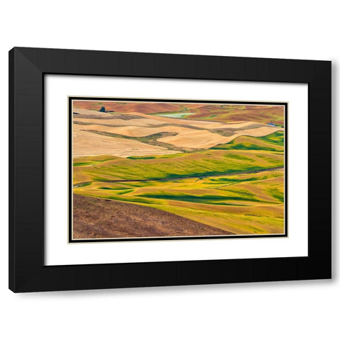 Landscape of rolling wheat field-Palouse-Washington State-USA Black Modern Wood Framed Art Print with Double Matting by Su, Keren