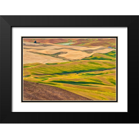 Landscape of rolling wheat field-Palouse-Washington State-USA Black Modern Wood Framed Art Print with Double Matting by Su, Keren