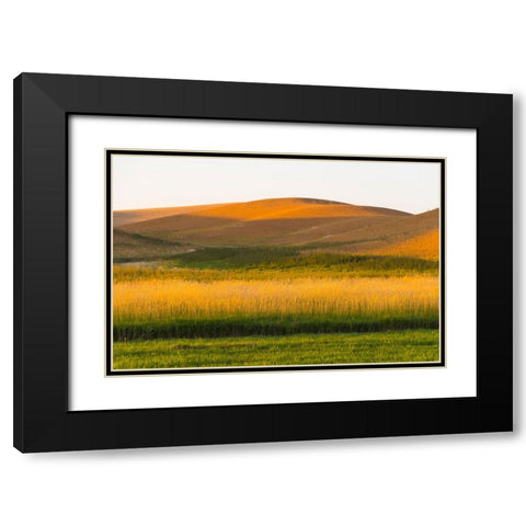 Sunset view of wheat field-Palouse-Washington State-USA Black Modern Wood Framed Art Print with Double Matting by Su, Keren