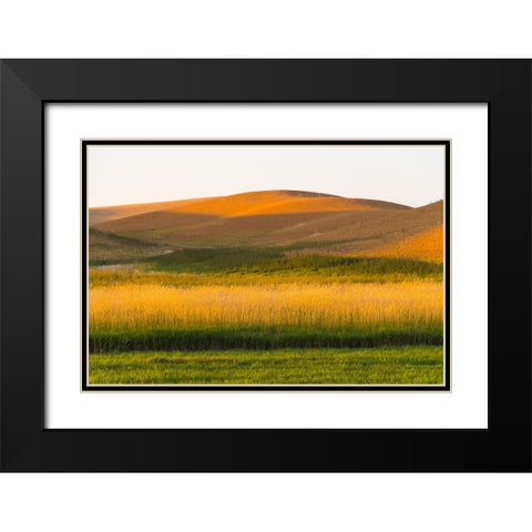 Sunset view of wheat field-Palouse-Washington State-USA Black Modern Wood Framed Art Print with Double Matting by Su, Keren