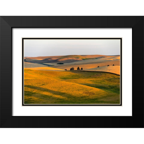 Landscape of rolling wheat field at sunrise-Palouse-Washington State-USA Black Modern Wood Framed Art Print with Double Matting by Su, Keren
