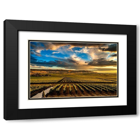 Washington State-Red Mountain Red Mountain vineyards at dusk with dramatic sky Black Modern Wood Framed Art Print with Double Matting by Duval, Richard