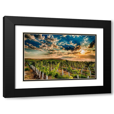 Washington State-Yakima Valley Sunrise on a Red Mountain vineyard Black Modern Wood Framed Art Print with Double Matting by Duval, Richard