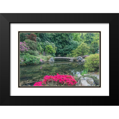 Washington State-Seattle Kubota Garden Black Modern Wood Framed Art Print with Double Matting by Tilley, Rob