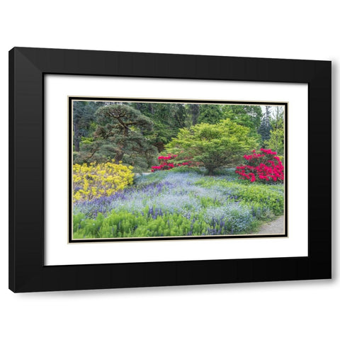 Washington State-Seattle Kubota Garden Black Modern Wood Framed Art Print with Double Matting by Tilley, Rob