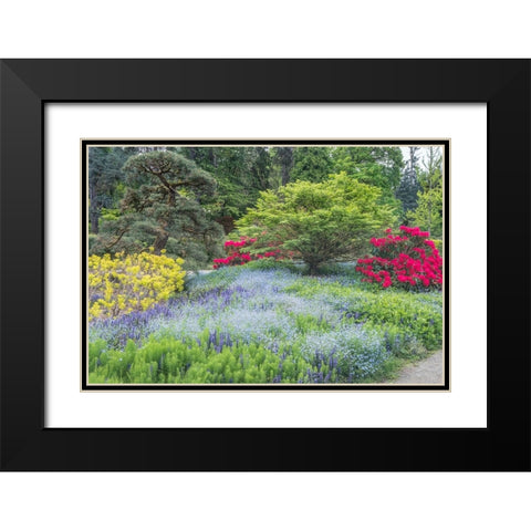 Washington State-Seattle Kubota Garden Black Modern Wood Framed Art Print with Double Matting by Tilley, Rob
