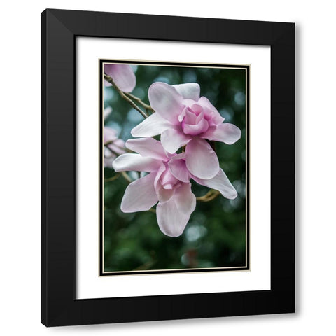 Washington State-Seattle Magnolia Black Modern Wood Framed Art Print with Double Matting by Tilley, Rob