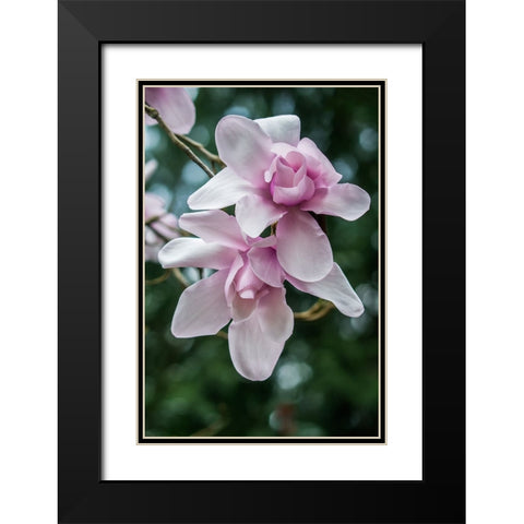 Washington State-Seattle Magnolia Black Modern Wood Framed Art Print with Double Matting by Tilley, Rob