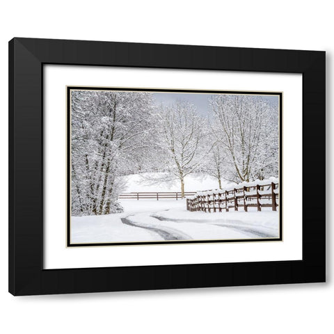 Washington State-Fall City-fresh snow on trees and fence and snow covered road Black Modern Wood Framed Art Print with Double Matting by Gulin, Sylvia