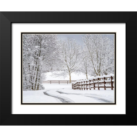 Washington State-Fall City-fresh snow on trees and fence and snow covered road Black Modern Wood Framed Art Print with Double Matting by Gulin, Sylvia