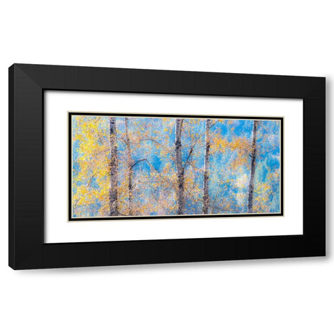 Washington State-Preston with Cottonwood trees springtime leafing out Black Modern Wood Framed Art Print with Double Matting by Gulin, Sylvia