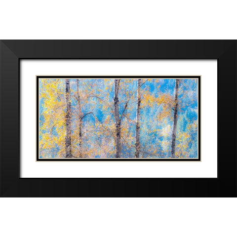 Washington State-Preston with Cottonwood trees springtime leafing out Black Modern Wood Framed Art Print with Double Matting by Gulin, Sylvia