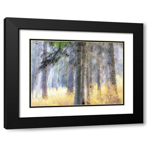 Washington State-Blewett Pass in autumn and Larch trees in fire damaged area Black Modern Wood Framed Art Print with Double Matting by Gulin, Sylvia