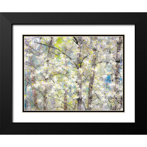 Washington State-Fall City springtime with blooming cherry trees and cottonwood trees Black Modern Wood Framed Art Print with Double Matting by Gulin, Sylvia