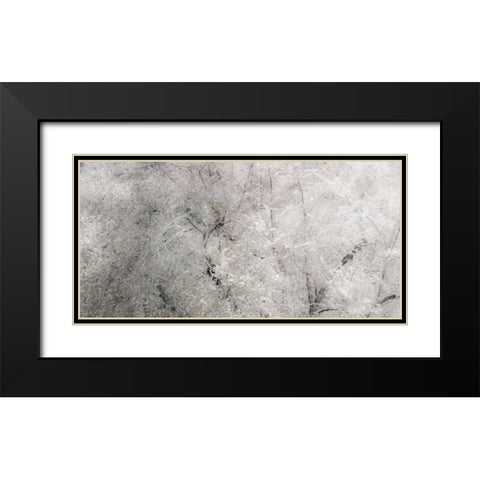 USA-Washington State-Fall City wild cherry springtime blooming Black Modern Wood Framed Art Print with Double Matting by Gulin, Sylvia