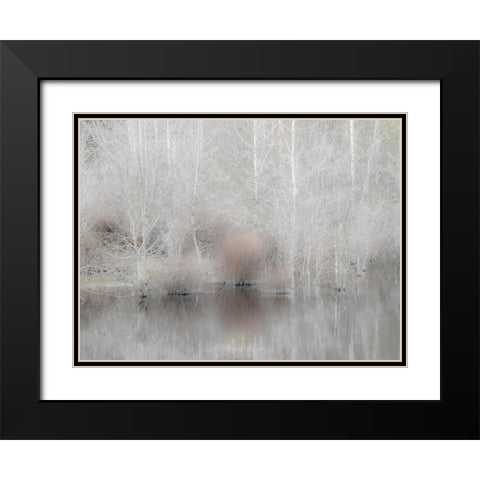 USA-Washington State-Sammamish springtime and alder trees and their reflections in small pond Black Modern Wood Framed Art Print with Double Matting by Gulin, Sylvia