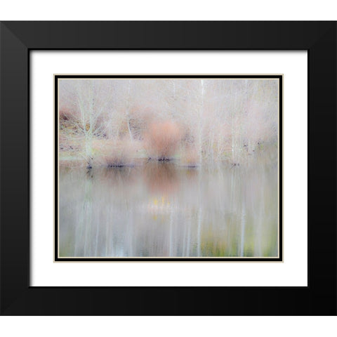 USA-Washington State-Sammamish springtime and alder trees and their reflections in small pond Black Modern Wood Framed Art Print with Double Matting by Gulin, Sylvia