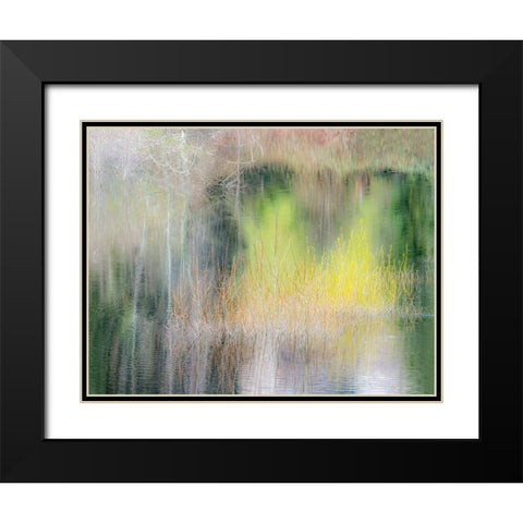 USA-Washington State-Sammamish springtime willow trees in early spring in small pond Black Modern Wood Framed Art Print with Double Matting by Gulin, Sylvia