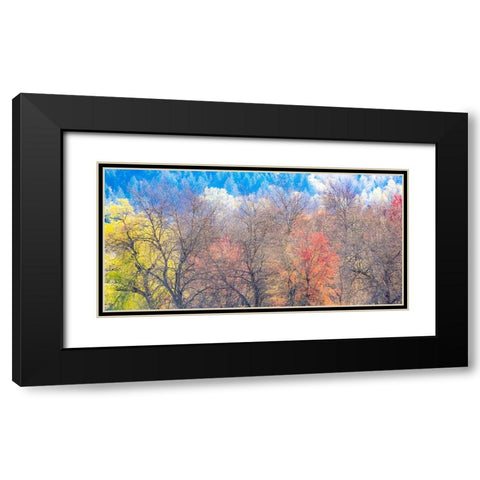 USA-Washington State-Fall City-Pacific Northwest early spring cottonwood Black Modern Wood Framed Art Print with Double Matting by Gulin, Sylvia