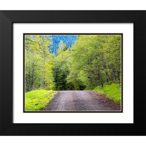 USA-Washington State-Old Cascade Highway off of Highway 2 Black Modern Wood Framed Art Print with Double Matting by Gulin, Sylvia