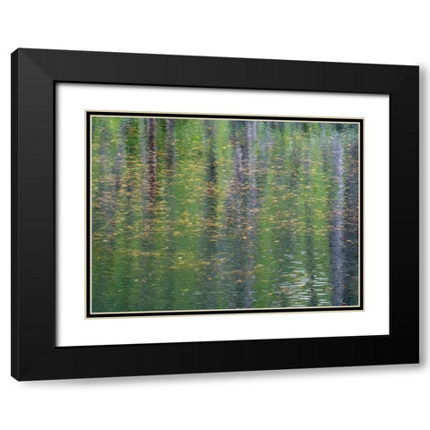 USA-Washington State-Old Cascade Highway off of Highway 2 and pond reflecting alder trees Black Modern Wood Framed Art Print with Double Matting by Gulin, Sylvia