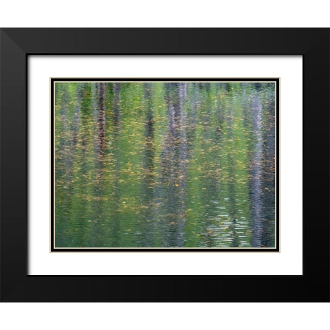 USA-Washington State-Old Cascade Highway off of Highway 2 and pond reflecting alder trees Black Modern Wood Framed Art Print with Double Matting by Gulin, Sylvia