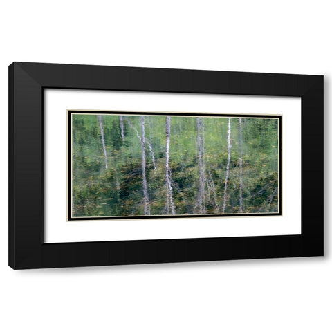 USA-Washington State-Old Cascade Highway off of Highway 2 and pond reflecting alder trees Black Modern Wood Framed Art Print with Double Matting by Gulin, Sylvia