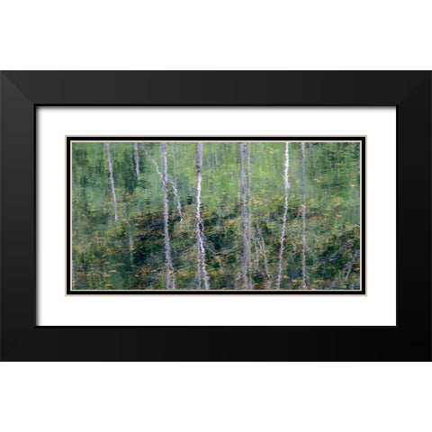 USA-Washington State-Old Cascade Highway off of Highway 2 and pond reflecting alder trees Black Modern Wood Framed Art Print with Double Matting by Gulin, Sylvia