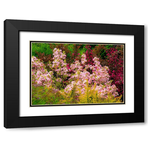 USA-Washington State-Pacific Northwest-Bellevue and the Bellevue Botanical Gardens springtime Black Modern Wood Framed Art Print with Double Matting by Gulin, Sylvia