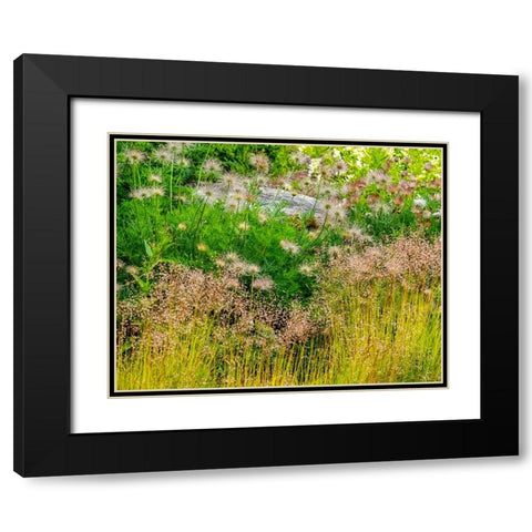 USA-Washington State-Pacific Northwest-Bellevue and the Bellevue Botanical Gardens springtime Black Modern Wood Framed Art Print with Double Matting by Gulin, Sylvia
