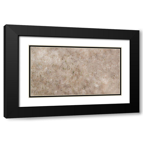 USA-Washington State-Benge Dried grass seed heads Black Modern Wood Framed Art Print with Double Matting by Gulin, Sylvia