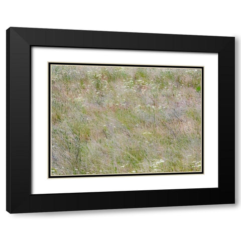USA-Washington State-Benge Dried grass seed heads Black Modern Wood Framed Art Print with Double Matting by Gulin, Sylvia