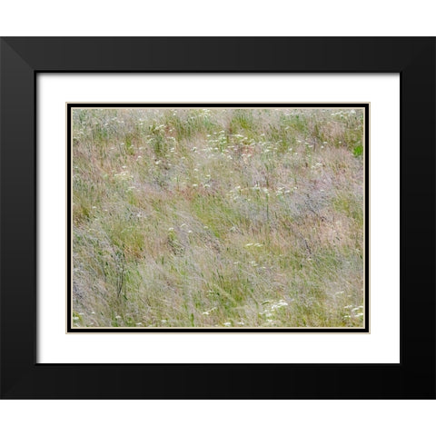 USA-Washington State-Benge Dried grass seed heads Black Modern Wood Framed Art Print with Double Matting by Gulin, Sylvia