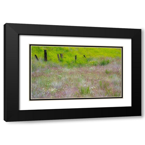 USA-Washington State-Benge Wooden post fence and grasses on rolling hills Black Modern Wood Framed Art Print with Double Matting by Gulin, Sylvia