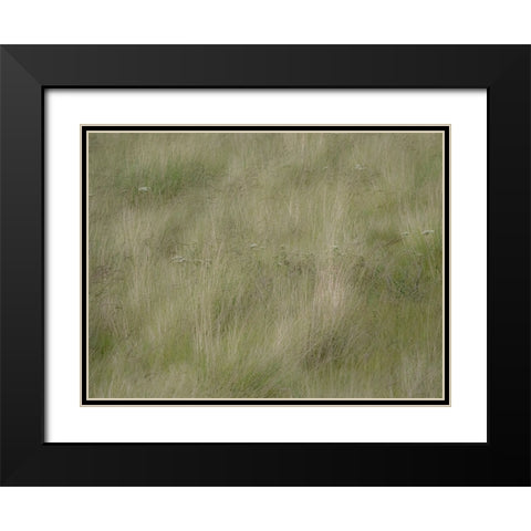 USA-Washington State-Palouse grasses soft focused near Colfax Black Modern Wood Framed Art Print with Double Matting by Gulin, Sylvia